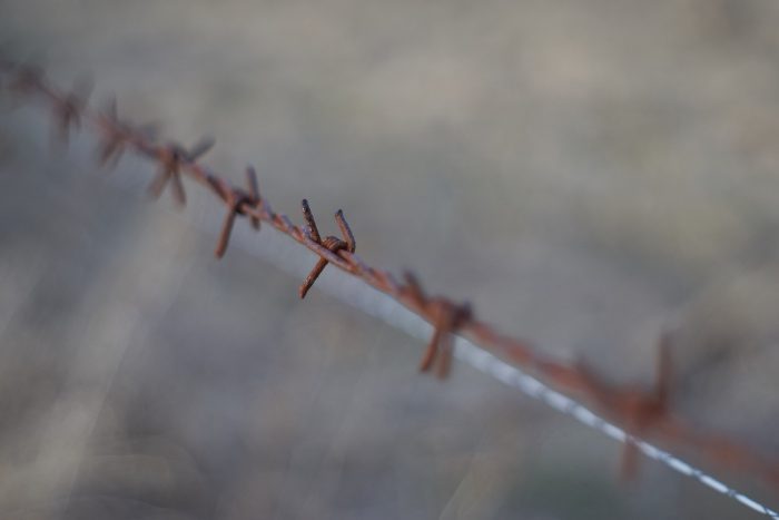 barbed wire fence