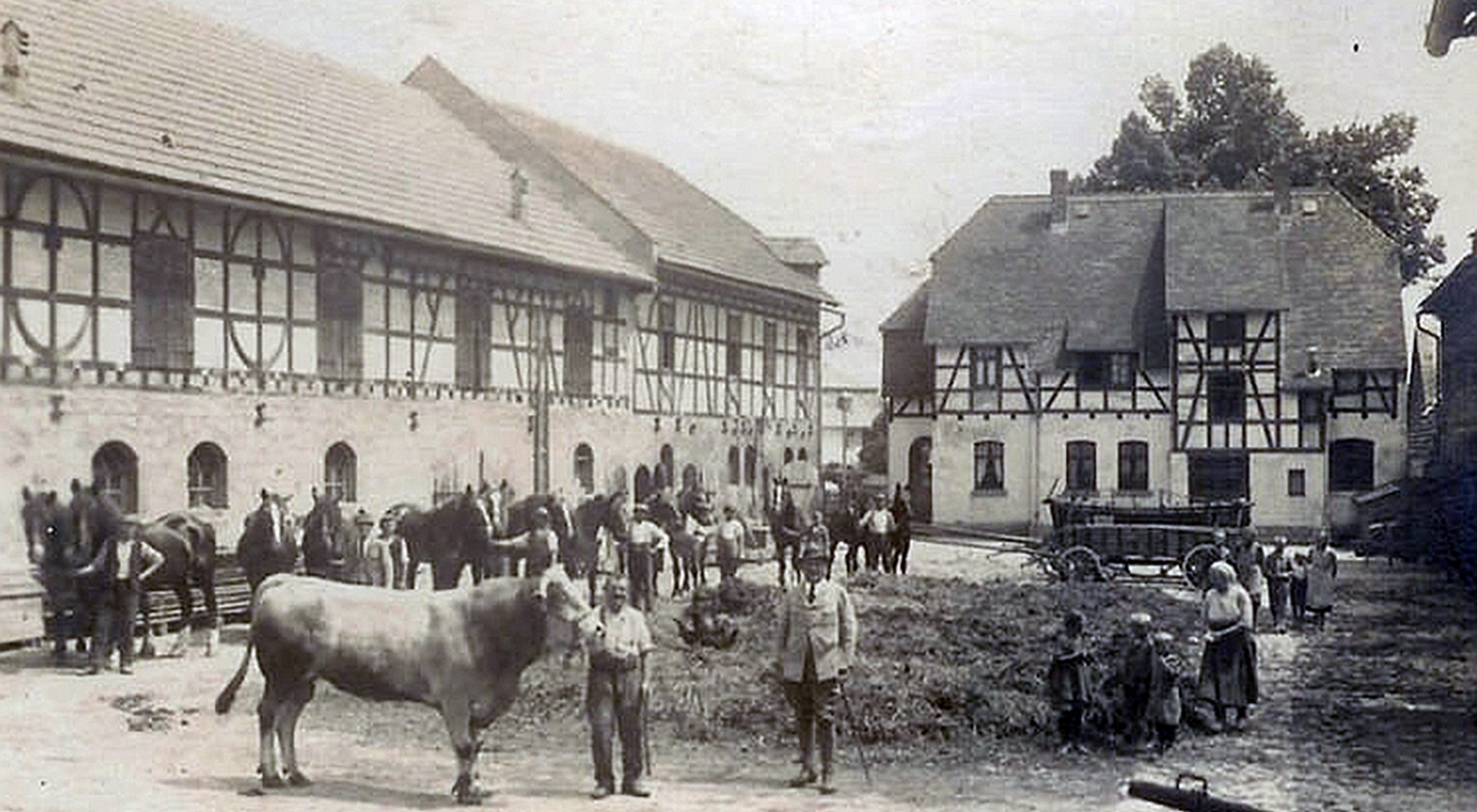 Alte Bilder nachfärben mit Google Nano Banana