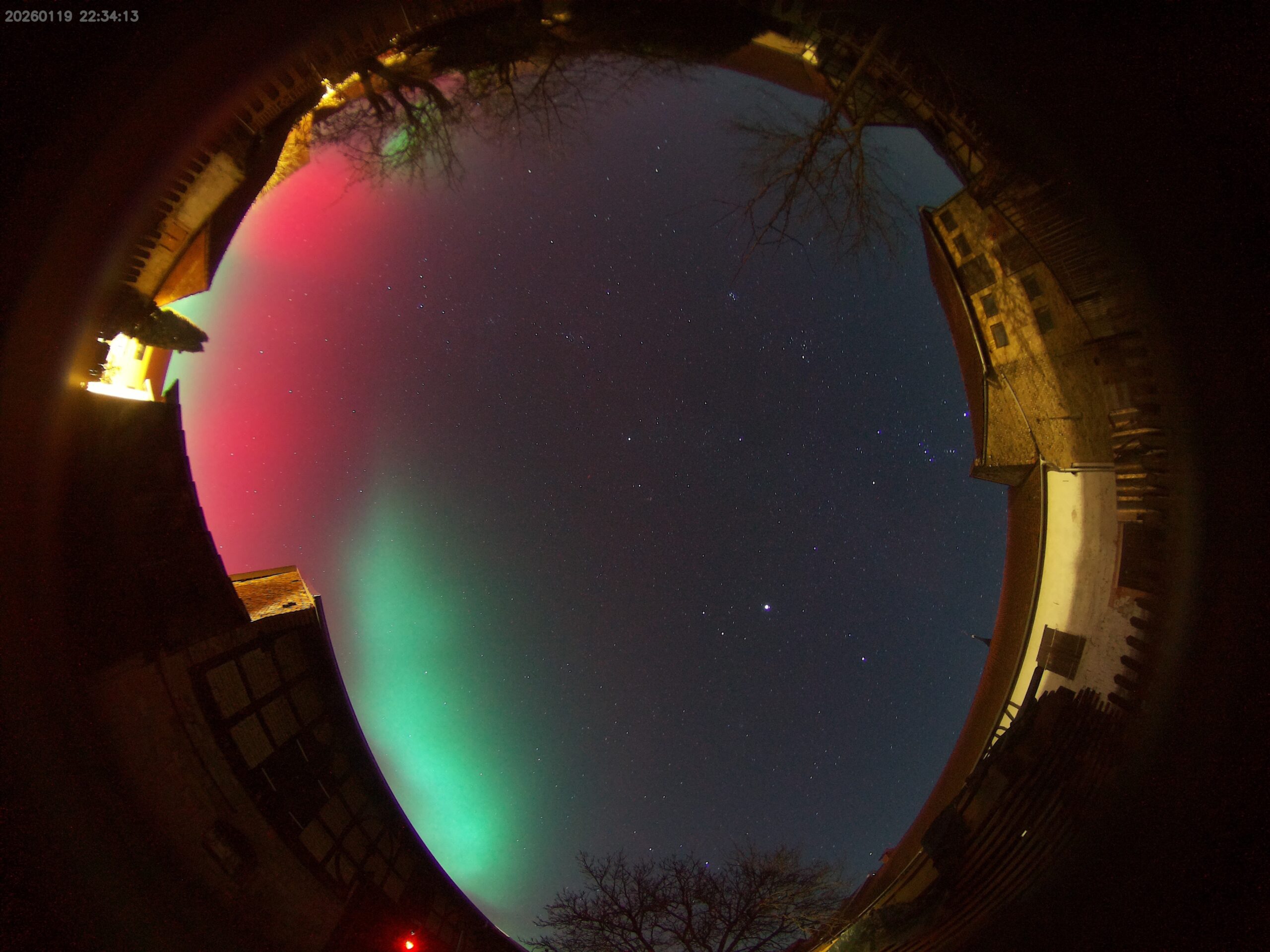 image 20260119223413 scaled