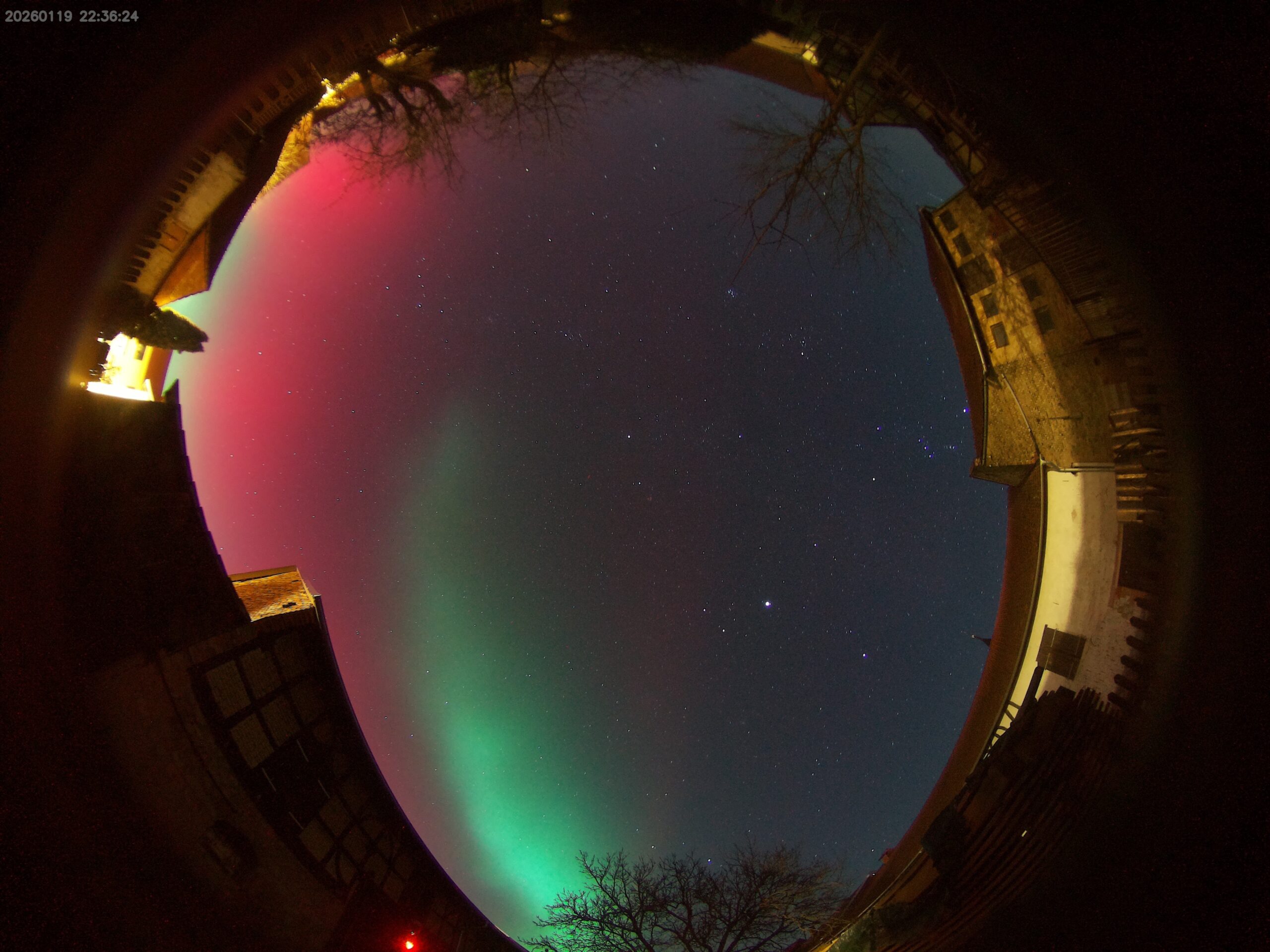 image 20260119223624 1 scaled