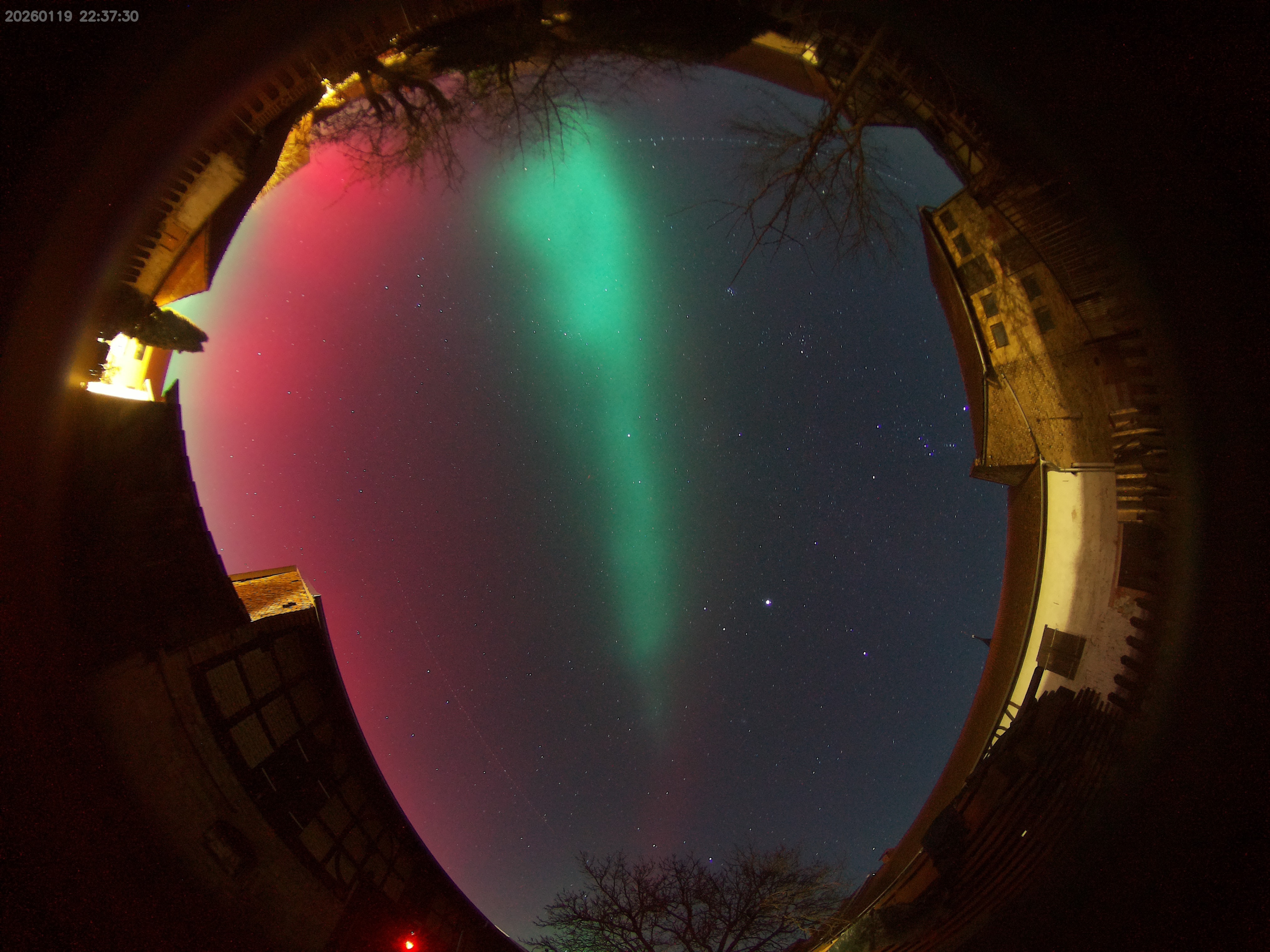 image 20260119223730 2