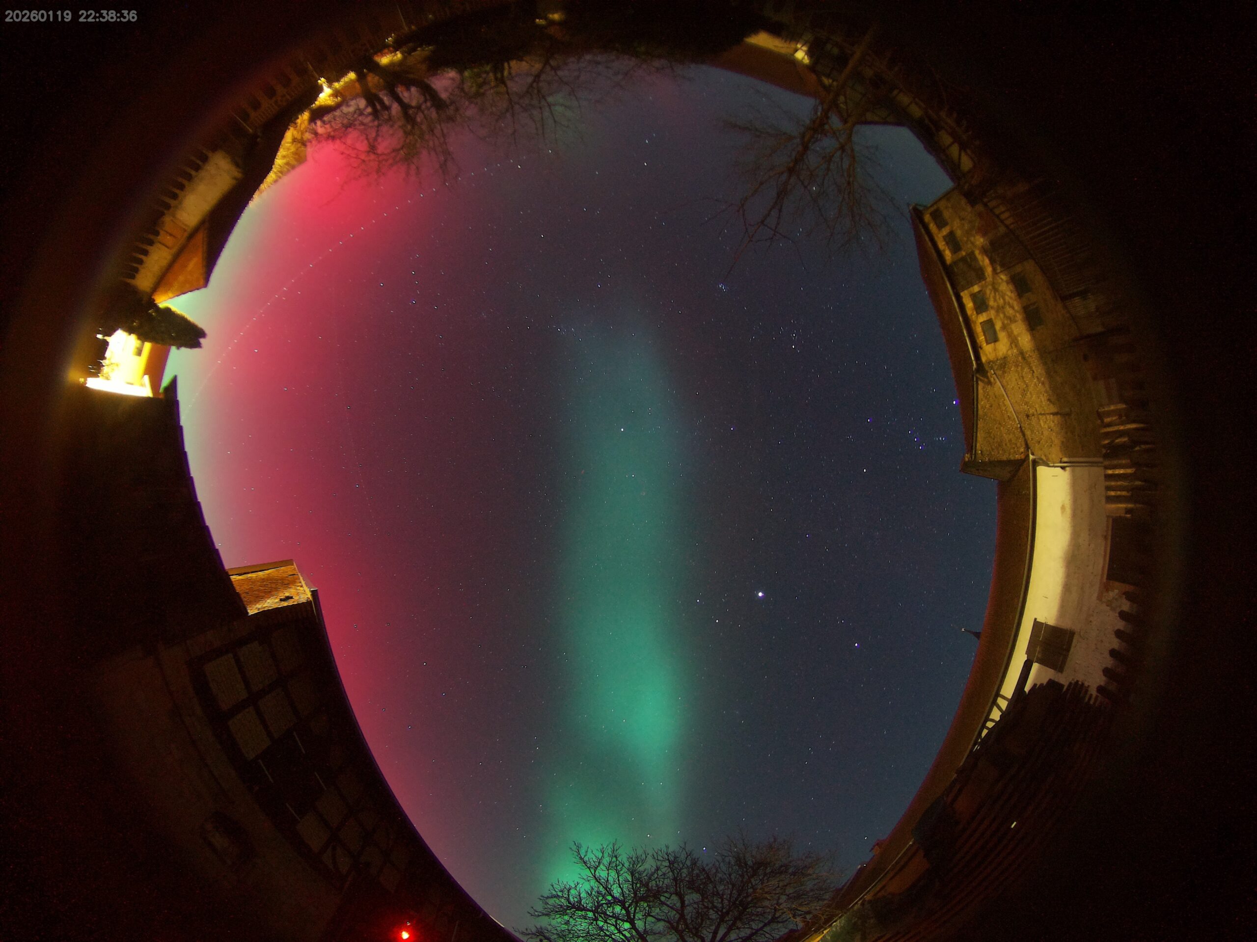 image 20260119223836 1 scaled