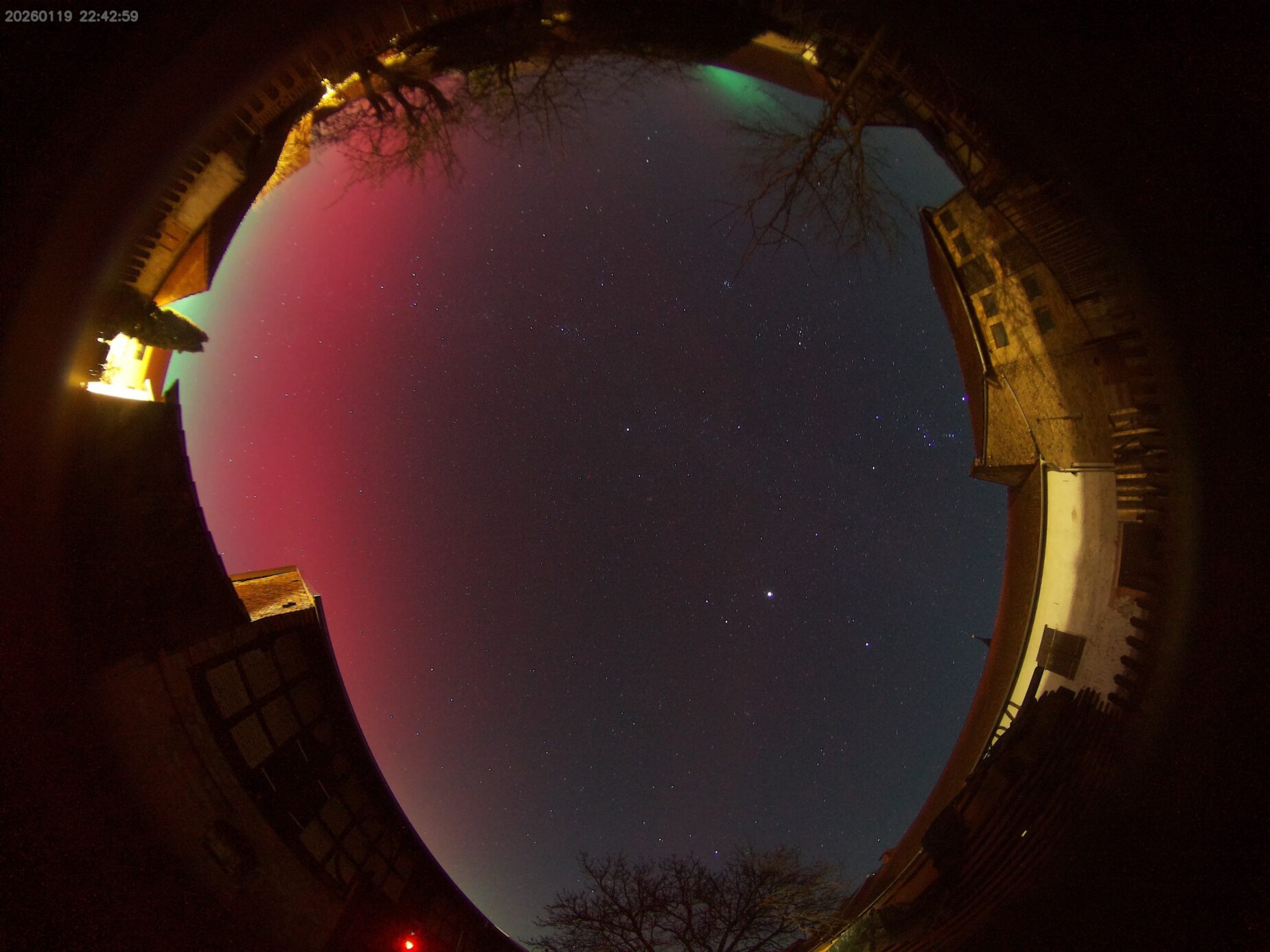 image 20260119224259 1