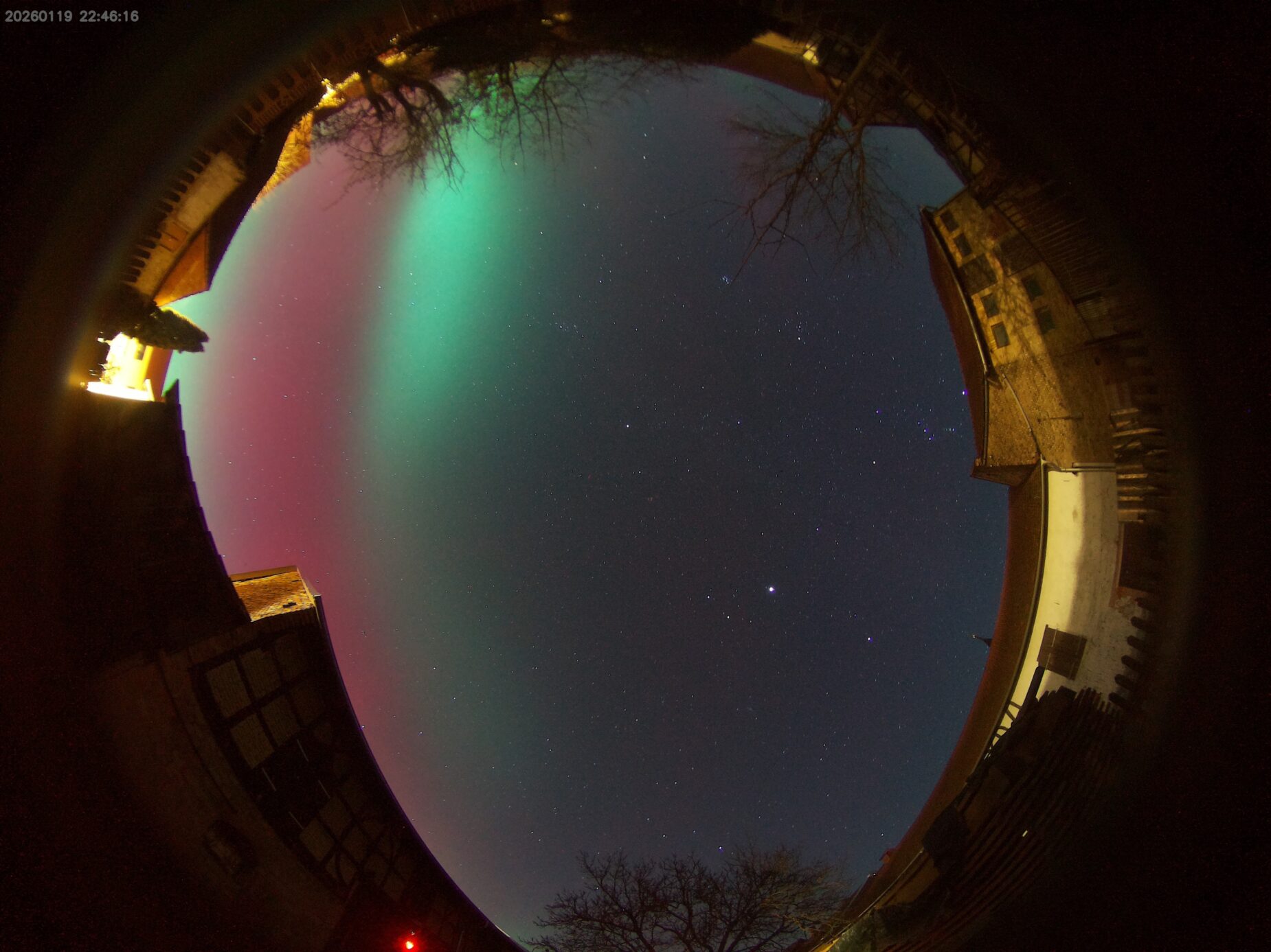 image 20260119224616