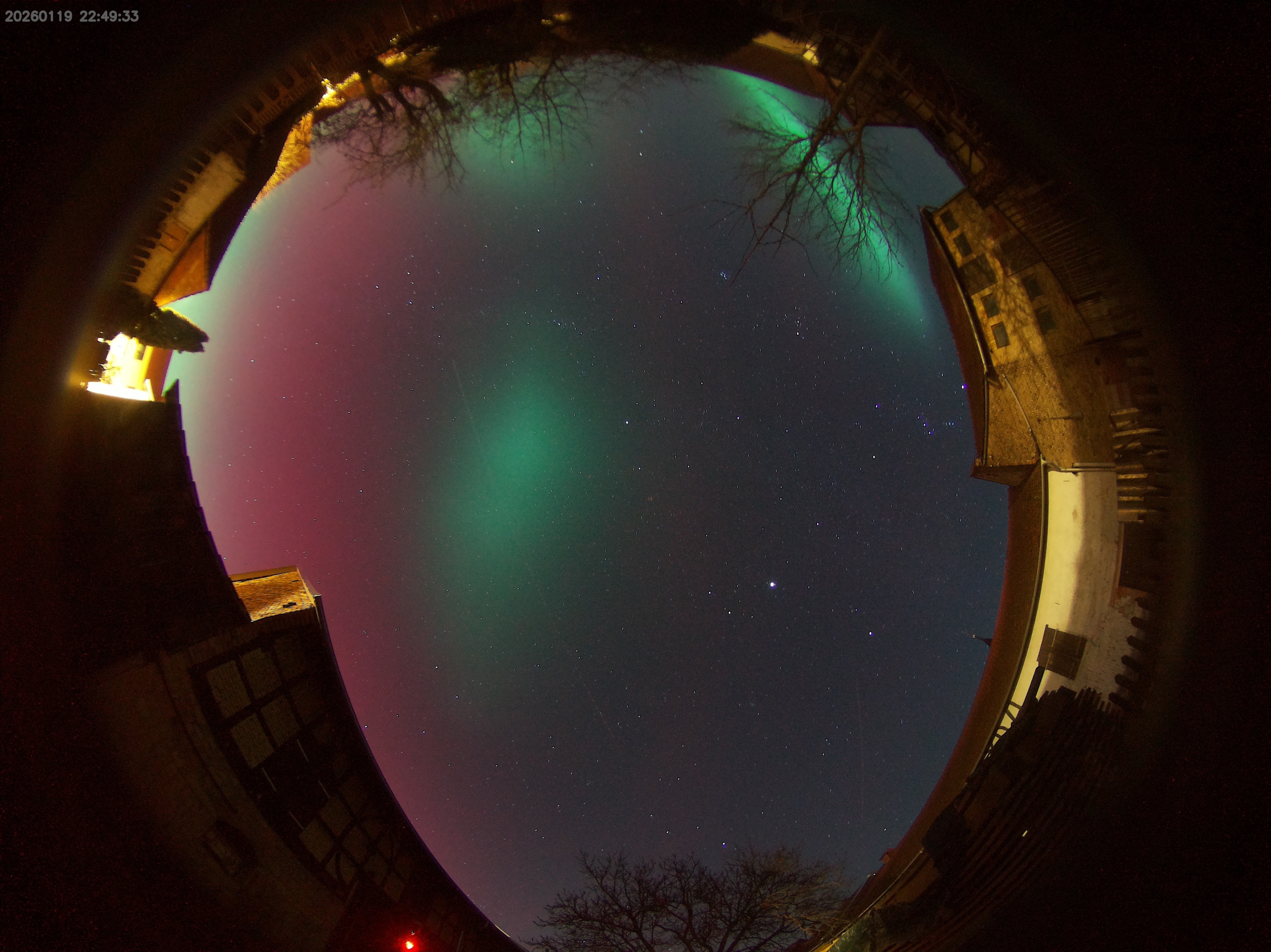 image 20260119224933 1