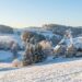 Nächster Wintereinbruch: Wann kommt der Schnee 2026 zurück?