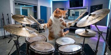 Google Lyria 3: Hier spielt die Musik